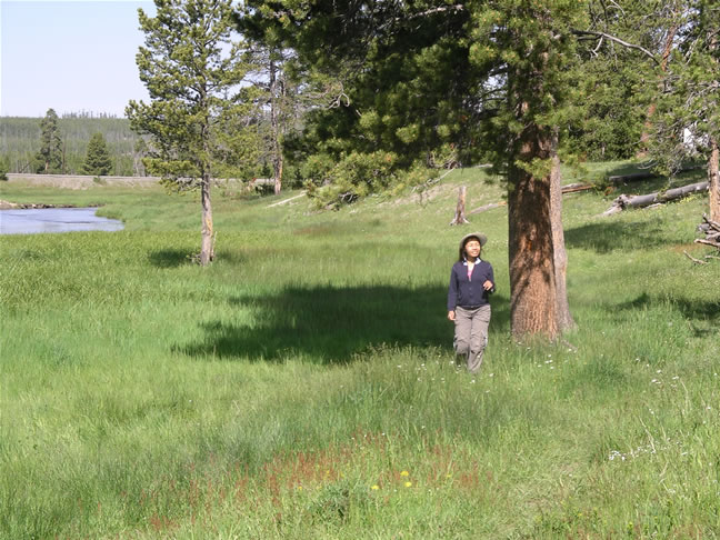 images/B-Sissi & Alex are going to watch the Bison (2).jpg